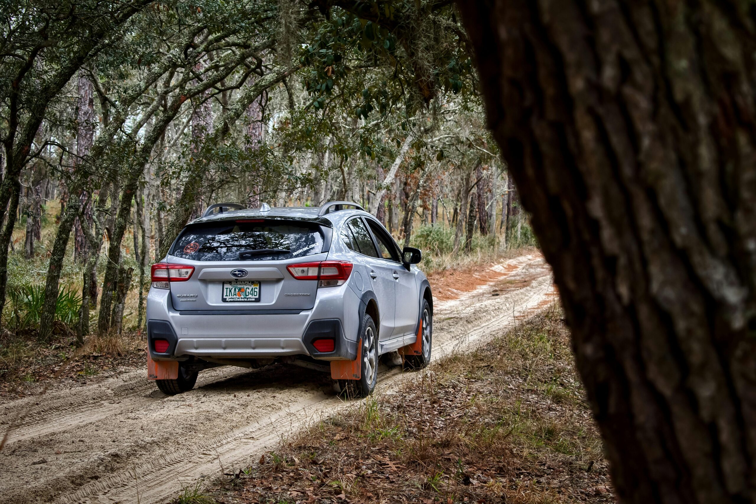 A car driving down a dirt road as reference for the tax collector taking over Broward County drivers license services.